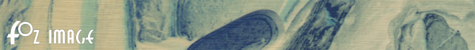 Fozimage � Masthead - Sandymouth